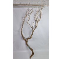 Manzanita natural 150cm-LA