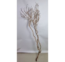 Manzanita natural 150cm-MA