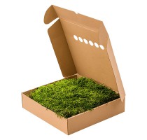 Stabilizovaný mech Forest Long Moss Box 60x60 cm