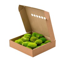 Stabilizovaný mech Ball Moss Light Green Box 40x40 cm