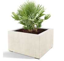 D-lite Low Cube M Concrete 80x80x60cm