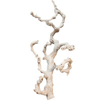 Dekorativní dřevěná větev Grapewood Natural 60cm