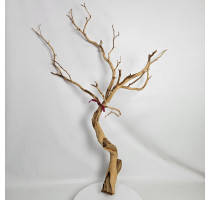 Manzanita natural 90cm-DH