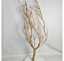 Manzanita natural 90cm-DA