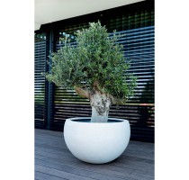 D-lite mísa Elena concrete 120x75cm