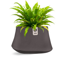 Rondello Ash Brown 60x37cm