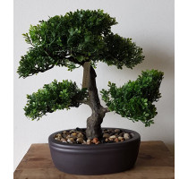 Umělá bonsaj Ficus 32cm