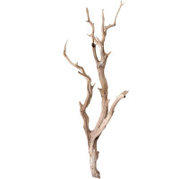 Dekorativní dřevěná větev 150cm