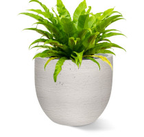Gama New Classic Sand 45x38cm