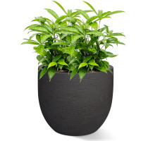 Gama New Classic Earth 36x31cm