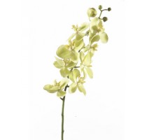Umělá Orchidej Green 75cm