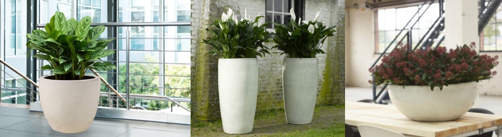 Keramické květináče White - Květináče.cz