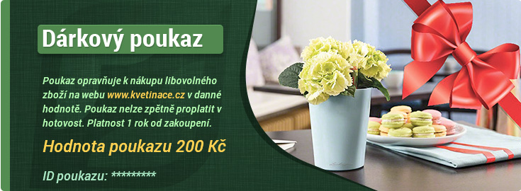 šek-200